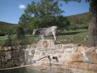 UNIVERSITÀ AGRARIA CANALE MONTERANO