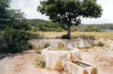 UNIVERSITÀ AGRARIA CANALE MONTERANO