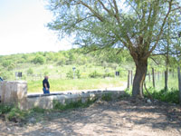 UNIVERSITÀ AGRARIA CANALE MONTERANO