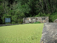 UNIVERSITÀ AGRARIA CANALE MONTERANO