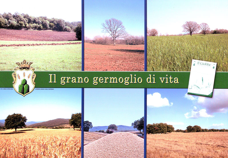 UNIVERSITÀ AGRARIA CANALE MONTERANO