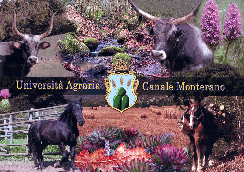 UNIVERSIT&Agrave; AGRARIA CANALE MONTERANO