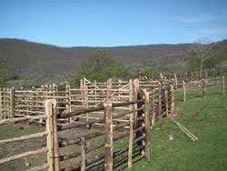 pascoli agraria canale