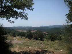 pascoli agraria canale