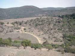 pascoli agraria canale