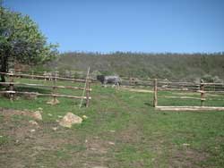 pascoli agraria canale