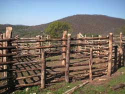 pascoli agraria canale