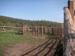 pascoli agraria canale